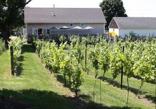 The Langworthy Inn & Winery Westerly Exterior photo